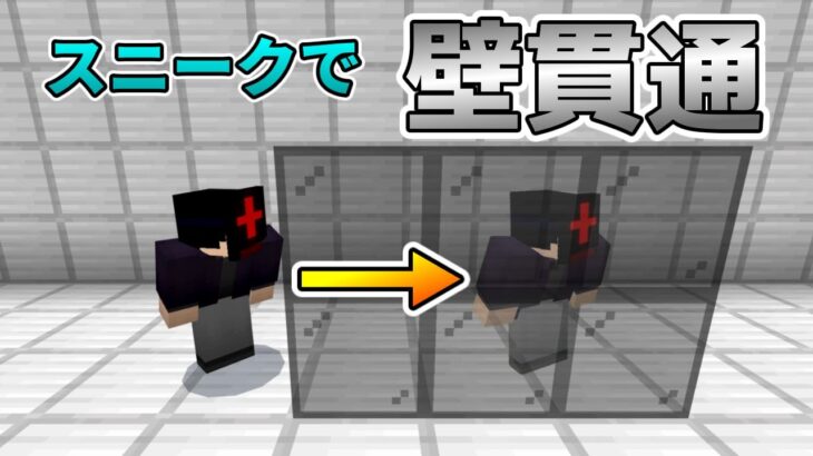 【コマンド】スニークで壁を貫通して移動できるコマンド！【マイクラBE】