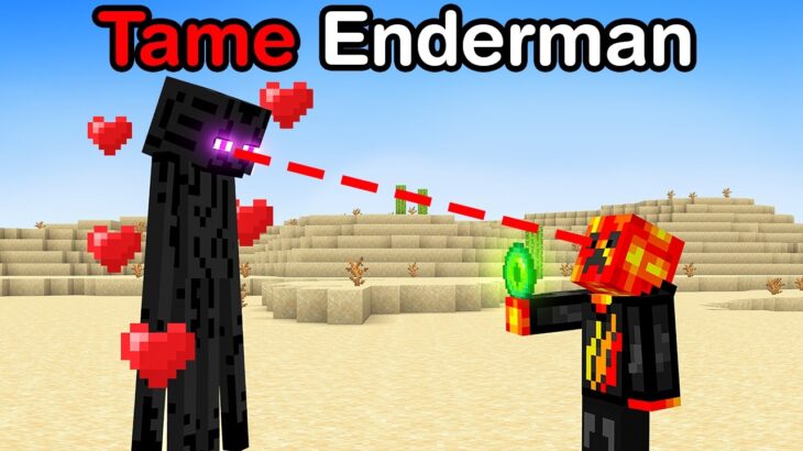 Breaking 100 Minecraft Laws in 24 Hours!