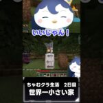 世界一小さい家を作ってみた！【ぺん・ぺ・ぺん/CHUMPLANET】