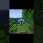 Crazy Minecraft mods💀