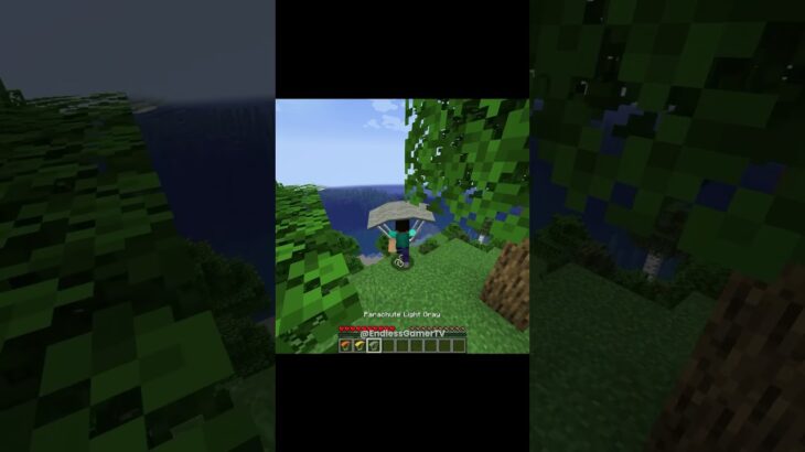 Crazy Minecraft mods💀
