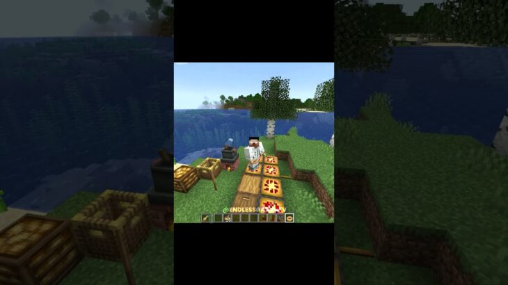 Crazy Minecraft mods