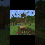 Crazy Minecraft mods #shorts