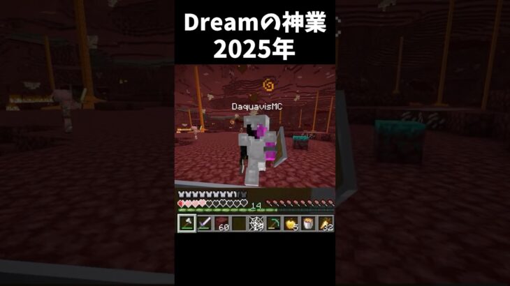 【マイクラ】Dreamの神業2025