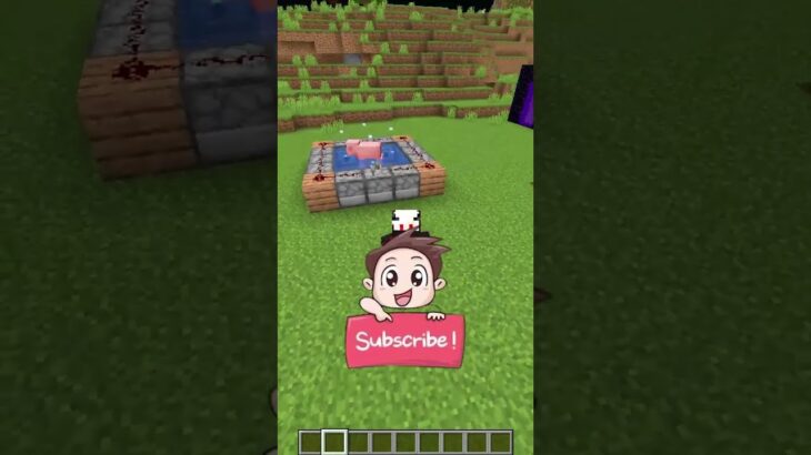 I Flew The Pigg !! In Sky !!#minecraft