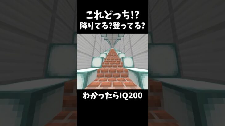 【マイクラ】わかったらIQ200！これってどっち！？　#マインクラフト #マイクラmod #マイクラ豆知識 #shorts  #ゆっくり実況 #マイクラ裏技