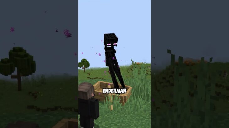 Item Yang Harus Kamu Bawa Di Minecraft