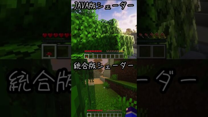 マインクラフト　JAVA VS 統合版 シェーダー比較 #影mod #バイブラントビジュアルズ #マイクラ