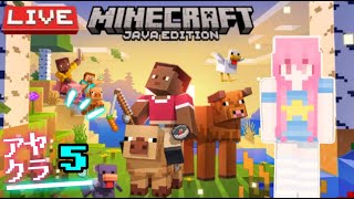 【マイクラJavaDay5】まったりエンチャント小屋建てる！今日は平和かな？