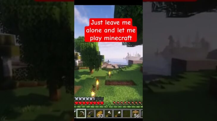 Just leave me alone, and let me play Minecraft.