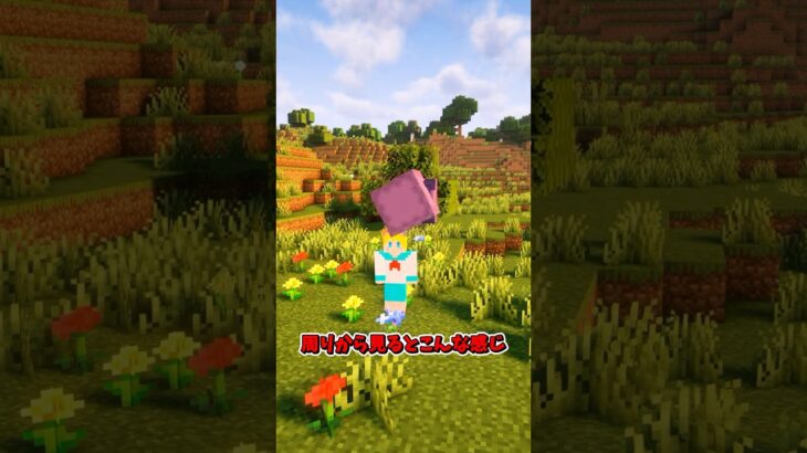 ポケットから召喚！ 【MOD紹介】 #マイクラ #mod紹介 #minecraft