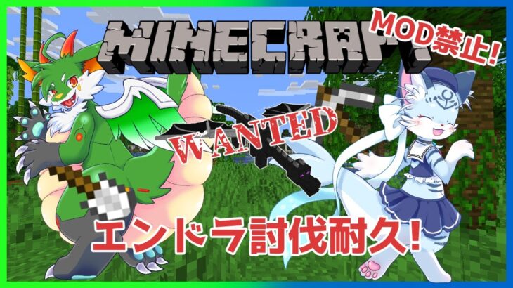 【耐久】【#マインクラフト】MOD禁止！バニラでエンドラ倒すよ！！【ケモノ系Vtuber】