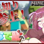 【 Minecraft 】スト鯖で冒険家になります 【 ゲーム実況 / #かなで鯖 】