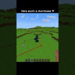 Minecraft 🤯🧠