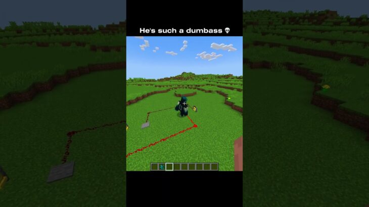 Minecraft 🤯🧠