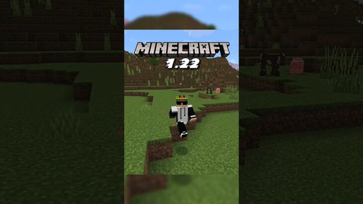 Minecraft 1.22 Update Is Realising 💀 #minecraft #minecraftfacts #minecraftupdate #shorts
