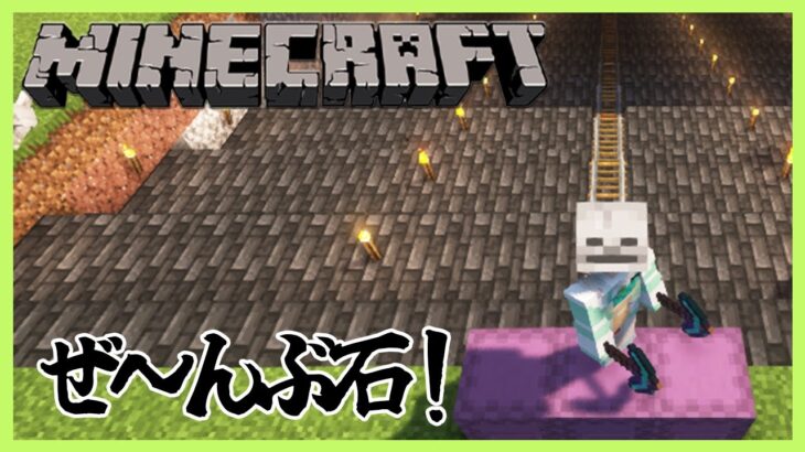 【Minecraft】ぜ～んぶ石！【七瀬すず菜/にじさんじ】