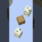 Minecraft But the World is Turtle Egg 🥚