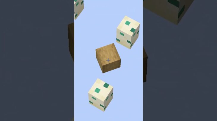 Minecraft But the World is Turtle Egg 🥚