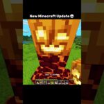 Minecraft New Blaze Boss💀