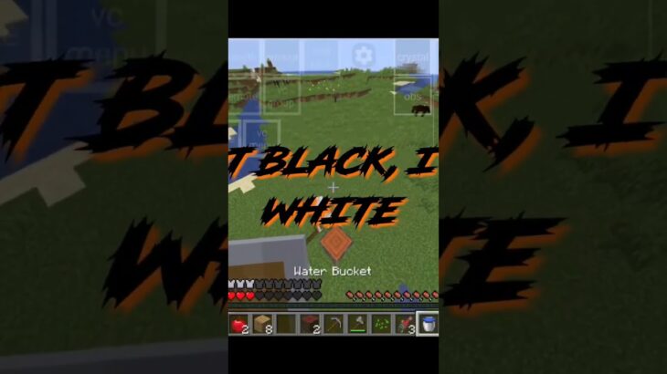 Minecraft Survival series first day ☠️⚡