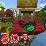 観覧注意　たまにマイクラ　８歳新しい家に置きたい物探し　マインクラフト　Minecraft きんぐかずと　 @kingkazuto