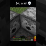 Minecraft meme ✨✨✨ minecraft #マインクラフト#マイクラ