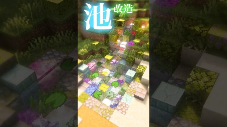 【Minecraft】村の池改造してみた！ #minecraft #マインクラフト #マイクラ #shorts  #ショート動画 #マイクラ建築