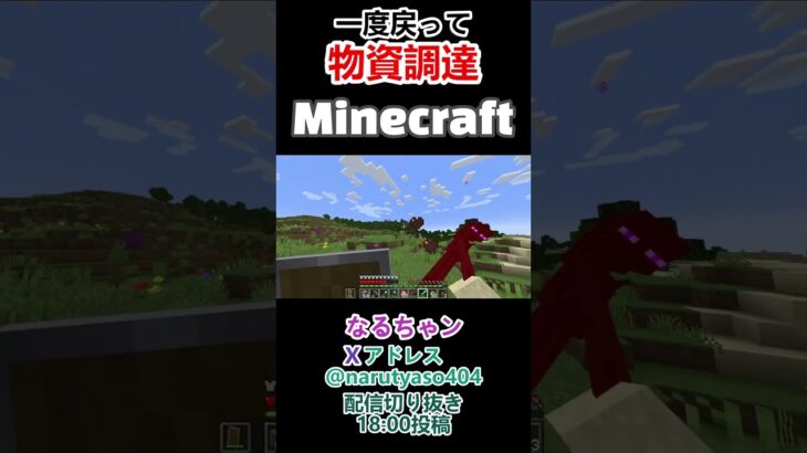 【Minecraft】一度家に帰るがてら、避けていた敵を標的対象にする なるちゃン  #shorts  #twitch #マインクラフト#minecraft