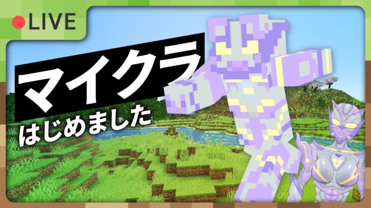 【Minecraft】家建てたい【個人Vtuber】