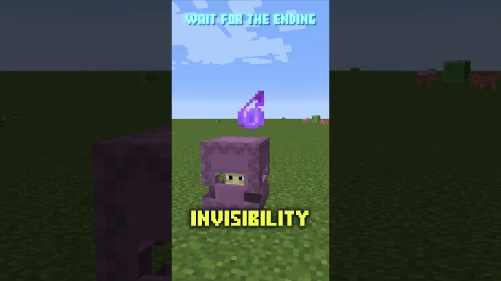 Minecraft’s Most Ugly DESIGN!  #minecraft #smallesthouse #venzi #minecraftfacts