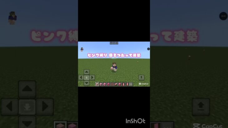 ピンク縛り 目を瞑って建築💪( ˙꒳​˙💪)【Minecraft】#shorts #マイクラ #マインクラフト #マイクラ建築  #ピンク縛り #ピンク #ピンク系統