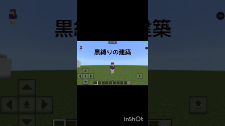 没動画⚠️黒縛りで建築したら•••【Minecraft】#shorts #minecraft #マインクラフト #まいんくらふと #マイクラ #まいくら #黒 #建築 #マイクラ建築 #没動画
