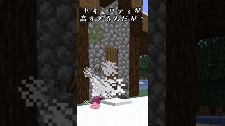 家のセキュリティが高すぎるんだが？【Minecraft】#shorts   #マイクラ #minecraft #マインクラフト #ゲーム