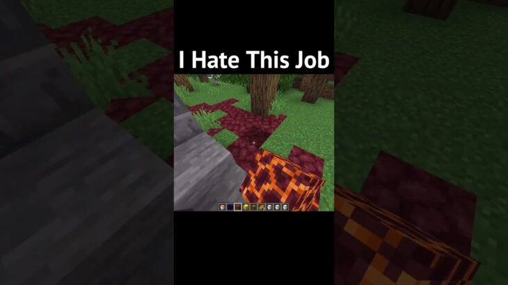 Pls DoN’t cHeCk thE soUnD #minecraft #shorts #funny #gaming