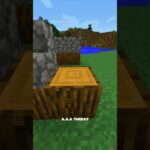Raccoon House😱#minecraft
