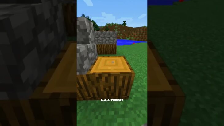 Raccoon House😱#minecraft
