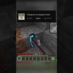 Random Minecraft Mod💥