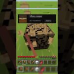 Random Minecraft Mod💥