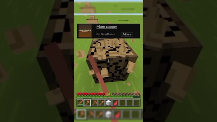 Random Minecraft Mod💥