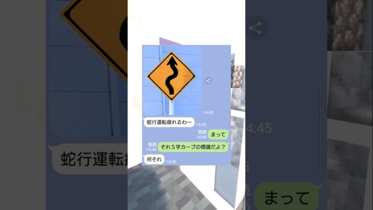 S字カーブ標識を勘違いしてる女の末路　#マイクラ #スカっと #shorts
