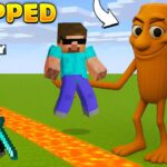 Saving YouTubers from Italian Brainrot in Minecraft @ProBoiz95