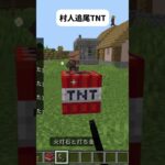村人追尾TNT～使用したコマンドは説明欄！～マイクラ