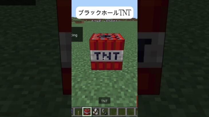 ブラックホールTNT～コマンドは説明欄に記載～マイクラ統合版