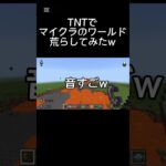 TNTでマイクラのワールド荒らしたらヤバすぎたw#マイクラ ￼￼