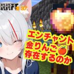 【ギネス記録挑戦中】エンチャントされた金リンゴって存在するんですか？？【新人Vtuber】【Minecraft】