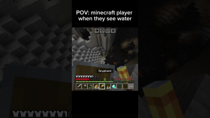 Wait for it 💀☠️ #minecraft #gaming #funny #dream #memes