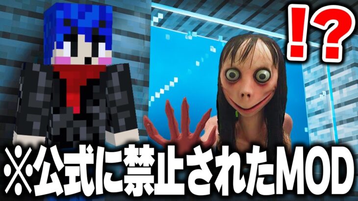 “YouTubeとマイクラ公式”に「禁止されたマイクラMOD」を実際にプレイしてみたらヤバすぎたｗｗｗ【まいくら・マインクラフト】