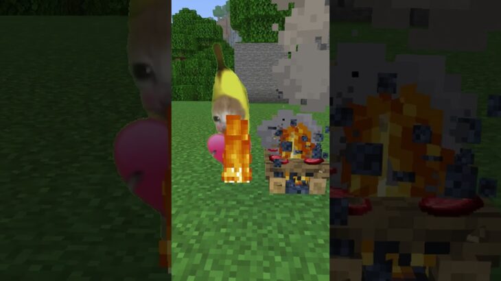 焼き肉を食べたいバナナ猫　#マイクラ #猫ミーム #bananacat