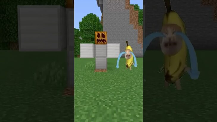 ダンスゴーレムを作って欲しいバナナ猫　#マイクラ #猫ミーム #bananacat